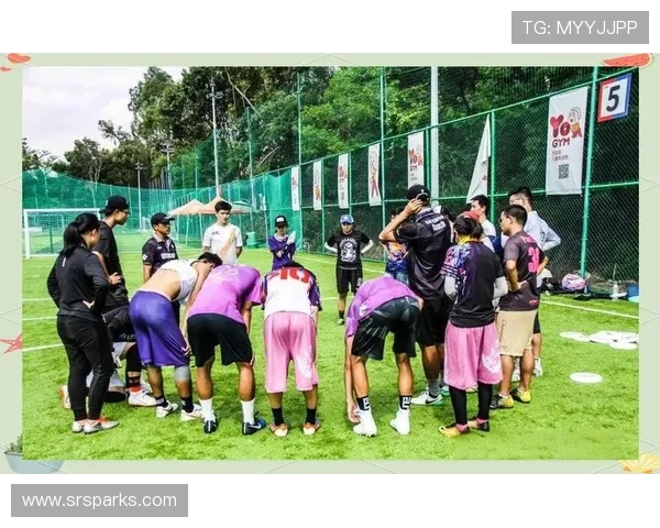 南京飞盘队的配合变革引发热议探索团队协作的新高度与挑战