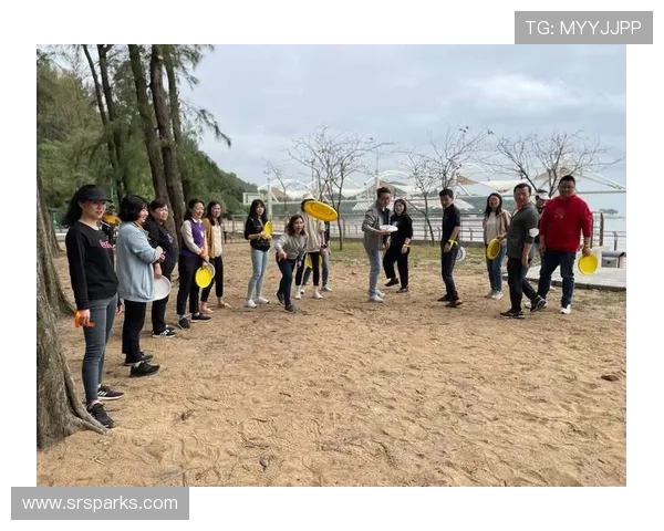 飞盘竞技的魅力与智慧：深入解析西安飞盘队的战术布局与团队协作