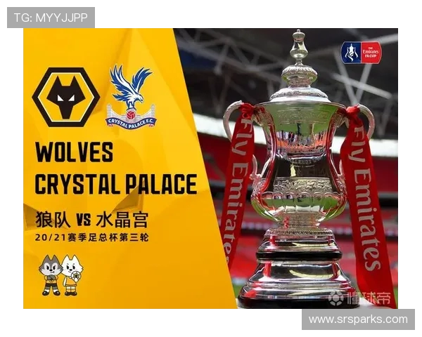 加的夫城与水晶宫的精彩对决分析及比赛前瞻 加的夫城与水晶宫的精彩对决分析及比赛前瞻